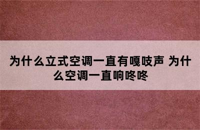 为什么立式空调一直有嘎吱声 为什么空调一直响咚咚